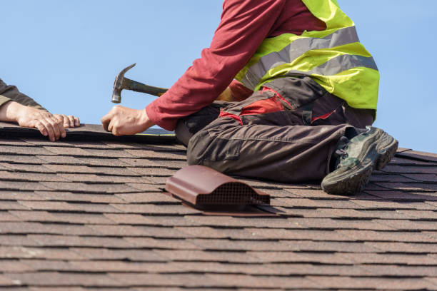 Best Residential Roof Replacement  in International Falls, MN