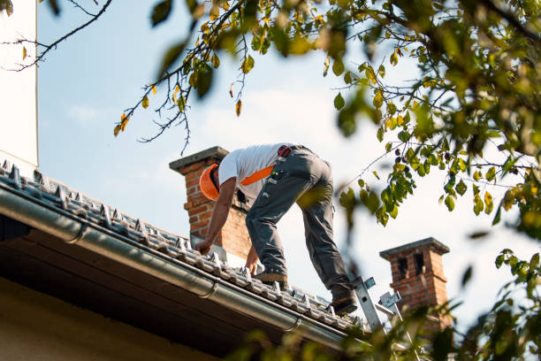 Best Slate Roofing Contractor  in International Falls, MN