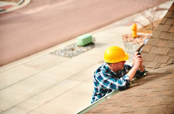 Best Emergency Roof Repair  in International Falls, MN