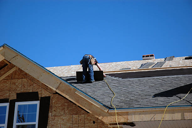 Best Emergency Roof Repair  in International Falls, MN