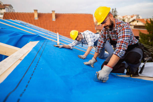Quick and Trustworthy Emergency Roof Repair Services in International Falls, MN