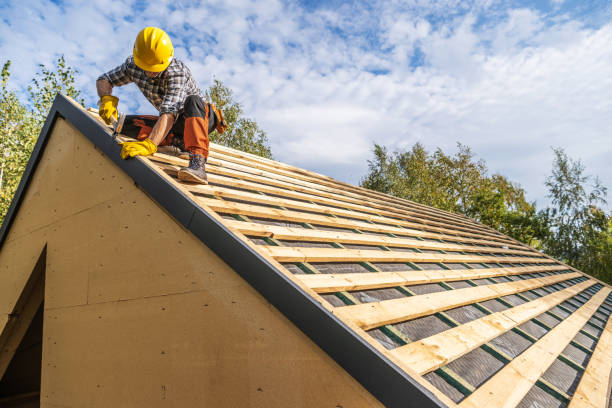 Best Metal Roofing Contractor  in International Falls, MN