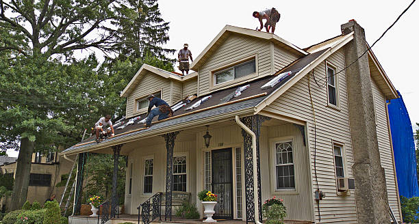 Best Roof Replacement Cost  in International Falls, MN