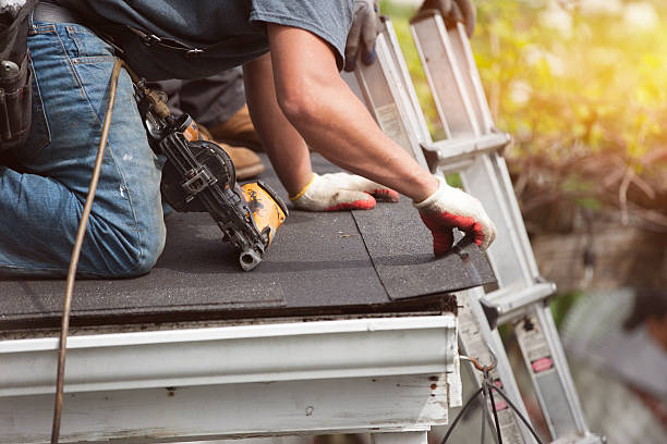 Best Roofing Contractor Near Me  in International Falls, MN