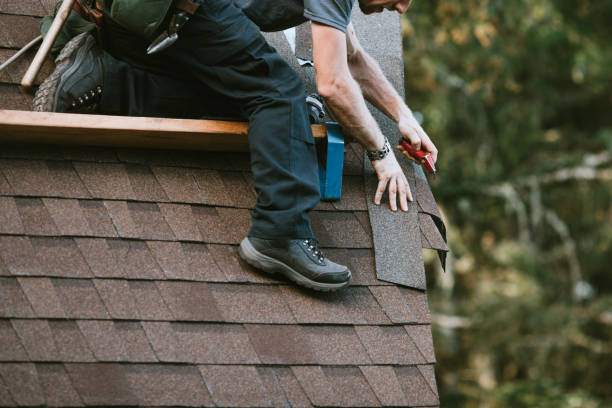 Best Best Roofing Contractors  in International Falls, MN